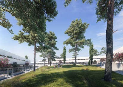 Rynek pierwotny · Penthouses · Torrevieja