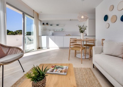 Rynek pierwotny · Penthouses · Torrevieja