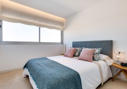 Rynek pierwotny · Penthouses · Torrevieja