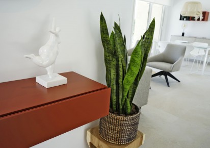 Rynek pierwotny · Villas · Orihuela