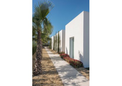 Rynek pierwotny · Villas · San Miguel de Salinas