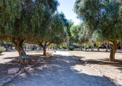 Rynek wtórny · Apartment · Torrevieja · El Acequión - Los Náufragos