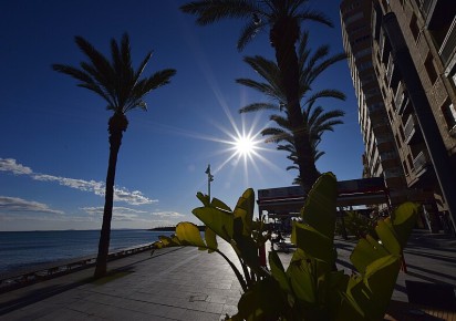 Rynek wtórny · Apartment · Torrevieja · Paseo de Torrevieja