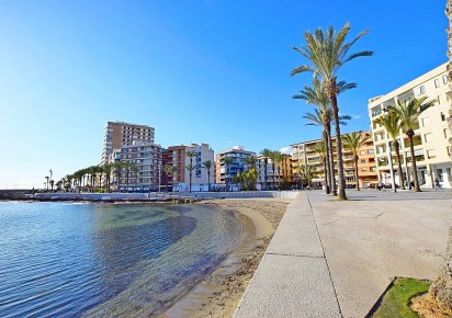 Rynek wtórny · Apartment · Torrevieja · Paseo de Torrevieja