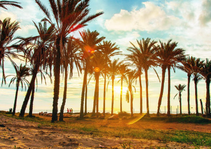 Rynek wtórny · Apartment · Torrevieja · Punta prima