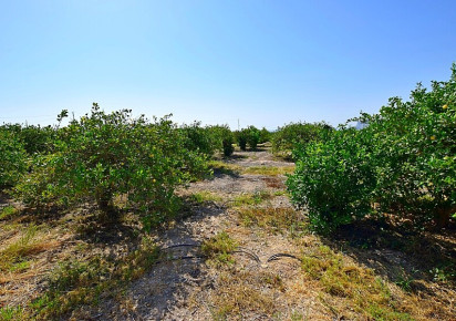 Rynek wtórny · Country house · Albatera