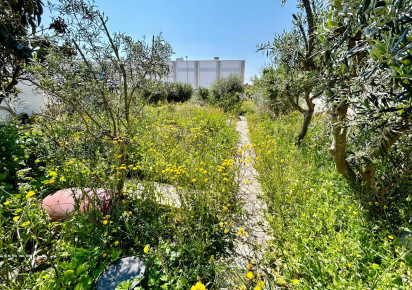Rynek wtórny · Land · Ciudad Quesada · Rojales