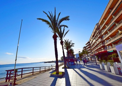 Rynek wtórny · Land · Torrevieja · Paseo de Torrevieja