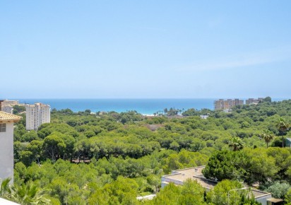 Rynek wtórny · penthouse · Orihuela Costa · Campoamor