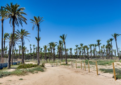 Rynek wtórny · penthouse · Orihuela Costa · Punta Prima