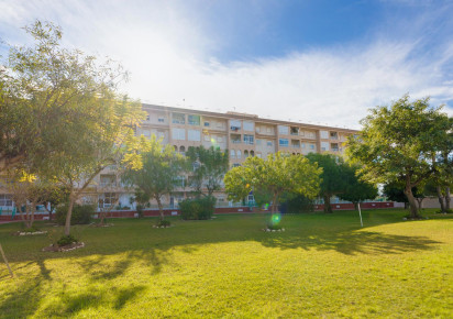 Rynek wtórny · penthouse · Torrevieja · Parque las naciones