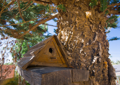 Rynek wtórny · Villa · La Siesta - El Salado - Torreta · La Siesta