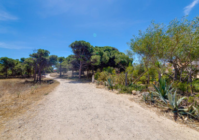 Sale · Apartment · Guardamar del Segura · Pinomar