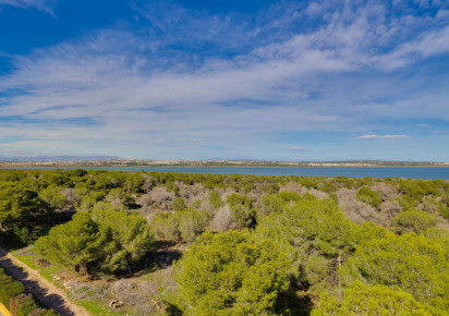 Sale · Apartment · Torrevieja · San Luis