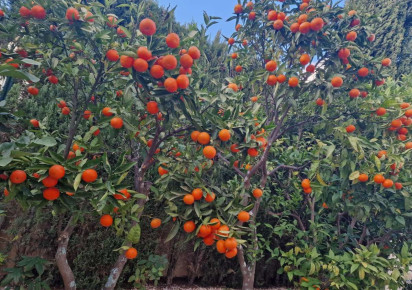 Sale · Bungalow · Benitachell