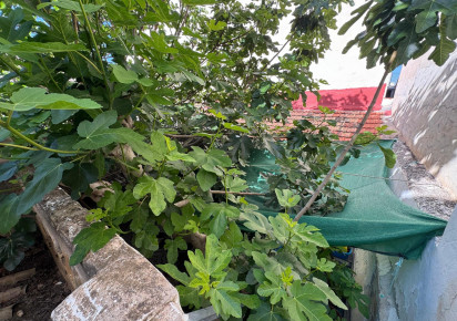 Sale · Casa · Benejuzar