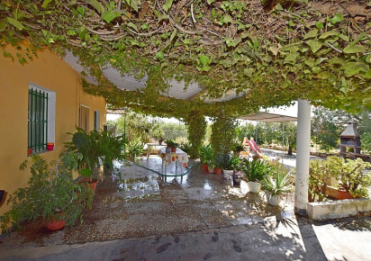 Sale · Country house · Albatera