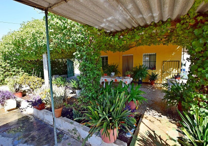 Sale · Country house · Albatera