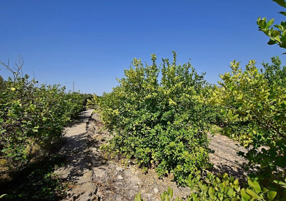 Sale · Country house · Albatera