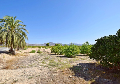 Sale · Country house · Albatera