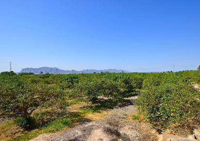 Sale · Country house · Albatera