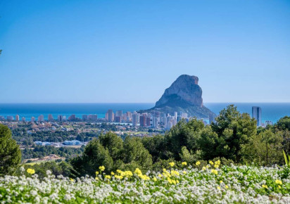 Sale · detached house · Calpe