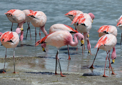 Sale · detached house · Calpe