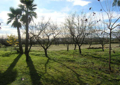 Sale · detached house · Senija