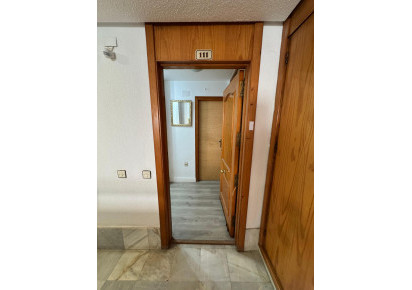 Sale · Estudio · Torrevieja · Playa de Los Locos-Curva del Palangre