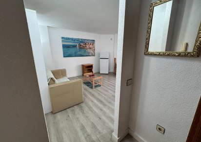 Sale · Estudio · Torrevieja · Playa de Los Locos-Curva del Palangre