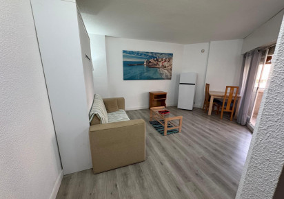 Sale · Estudio · Torrevieja · Playa de Los Locos-Curva del Palangre