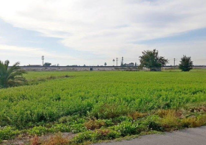 Sale · Finca · Callosa De Segura