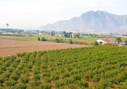 Sale · Finca · Callosa De Segura