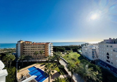 Sale · penthouse · La Mata · Alanis