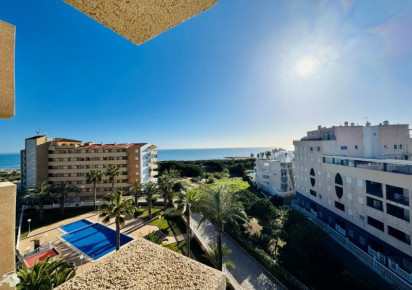 Sale · penthouse · La Mata · Alanis