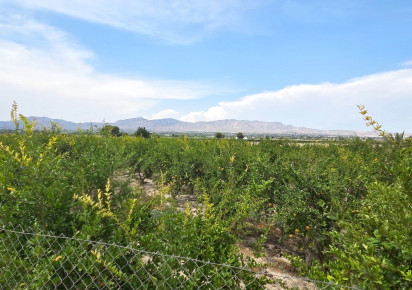 Sale · Plot / Land · San Isidro