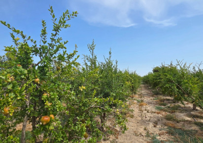 Sale · Plot / Land · San Isidro