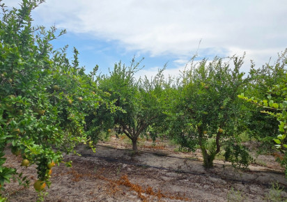 Sale · Plot / Land · San Isidro