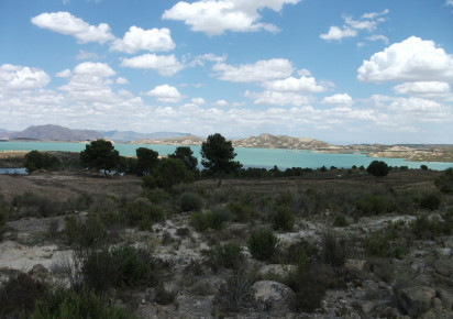 Sale · Plot · Torremendo