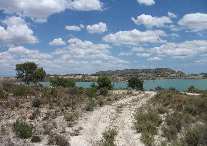 Sale · Plot · Torremendo