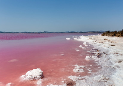 Sale · Townhouse · Torrevieja - La Torreta