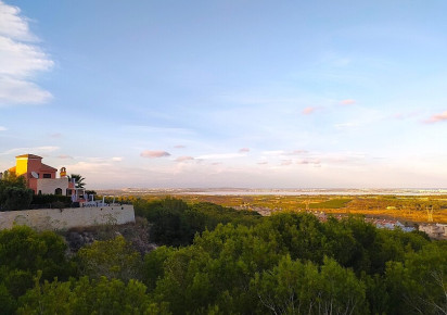 Sale · Villa · San Miguel de Salinas