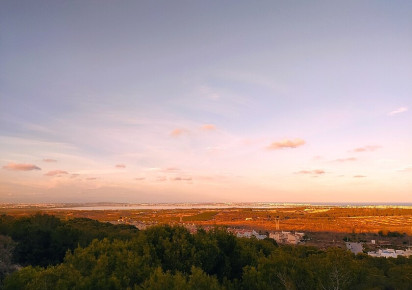 Sale · Villa · San Miguel de Salinas