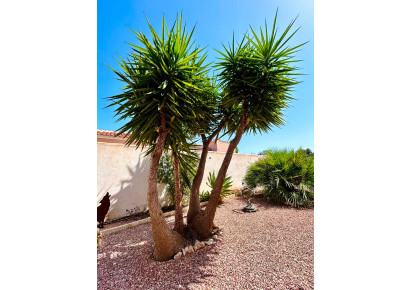 Sale · - VILLA · Torrevieja · Urbanización San Luis