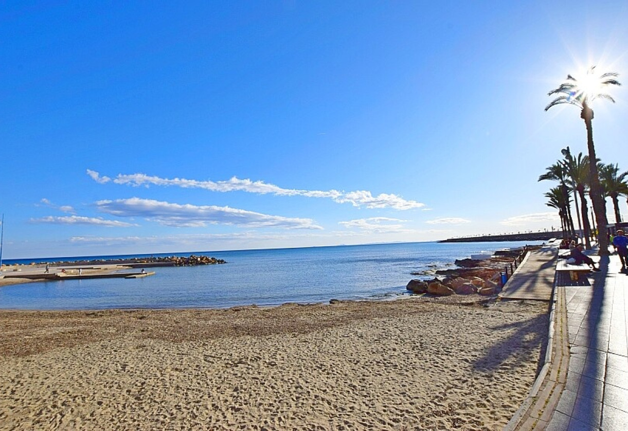 Sale · Apartment · Torrevieja · Paseo de Torrevieja