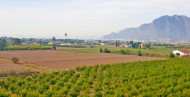 Reventa · Finca · Callosa De Segura