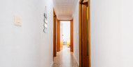 Sale · APARTAMENTO · Torrevieja · playa de los naufragos