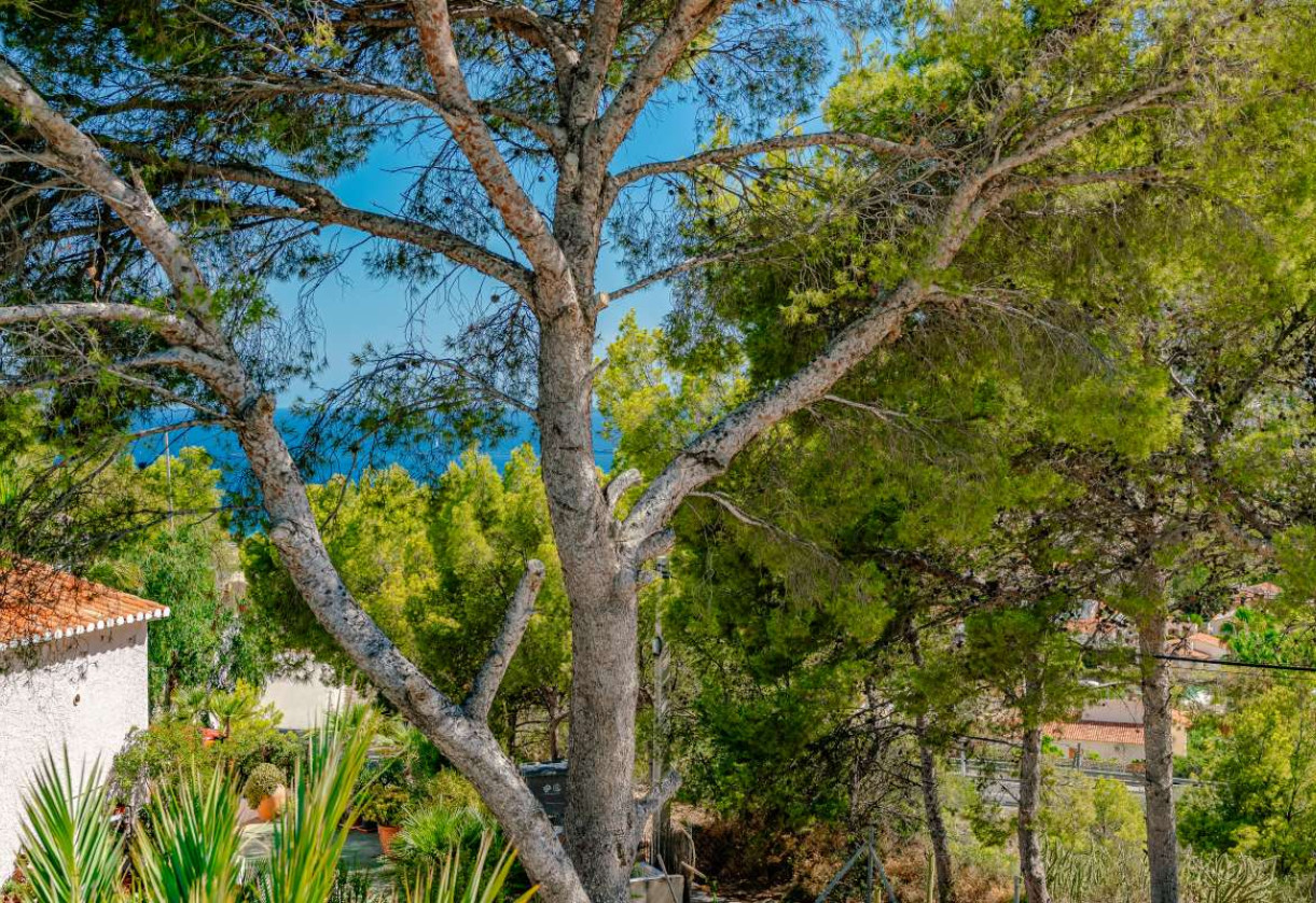 Sale · detached house · Calpe
