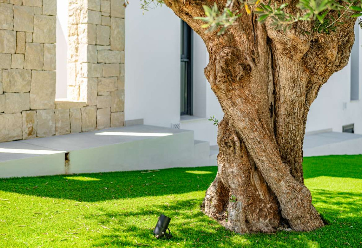New Build · detached house · Calpe