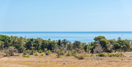 Resale · Apartment · Torrevieja · Punta prima